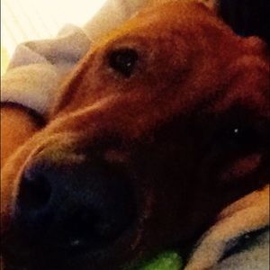 Meet your Posher, Esther